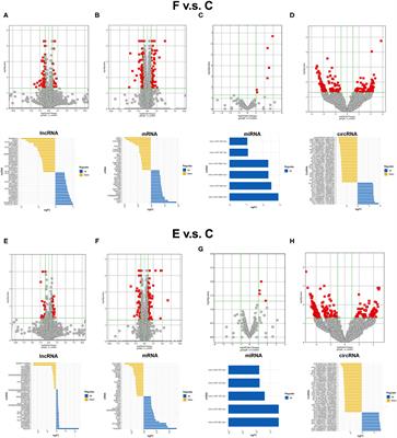 Identification of the Similarities and Differences of Molecular Networks Associated With Fear Memory Formation, Extinction, and Updating in the Amygdala